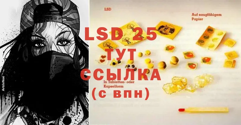 LSD-25 экстази ecstasy  Каргополь 